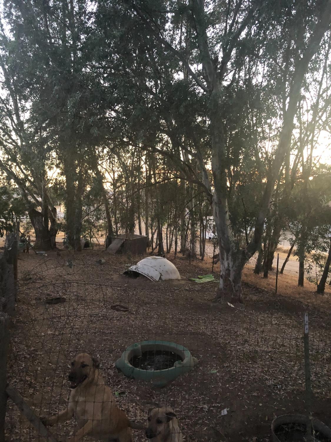 19581 Claremont Rd, Madera, CA 93638