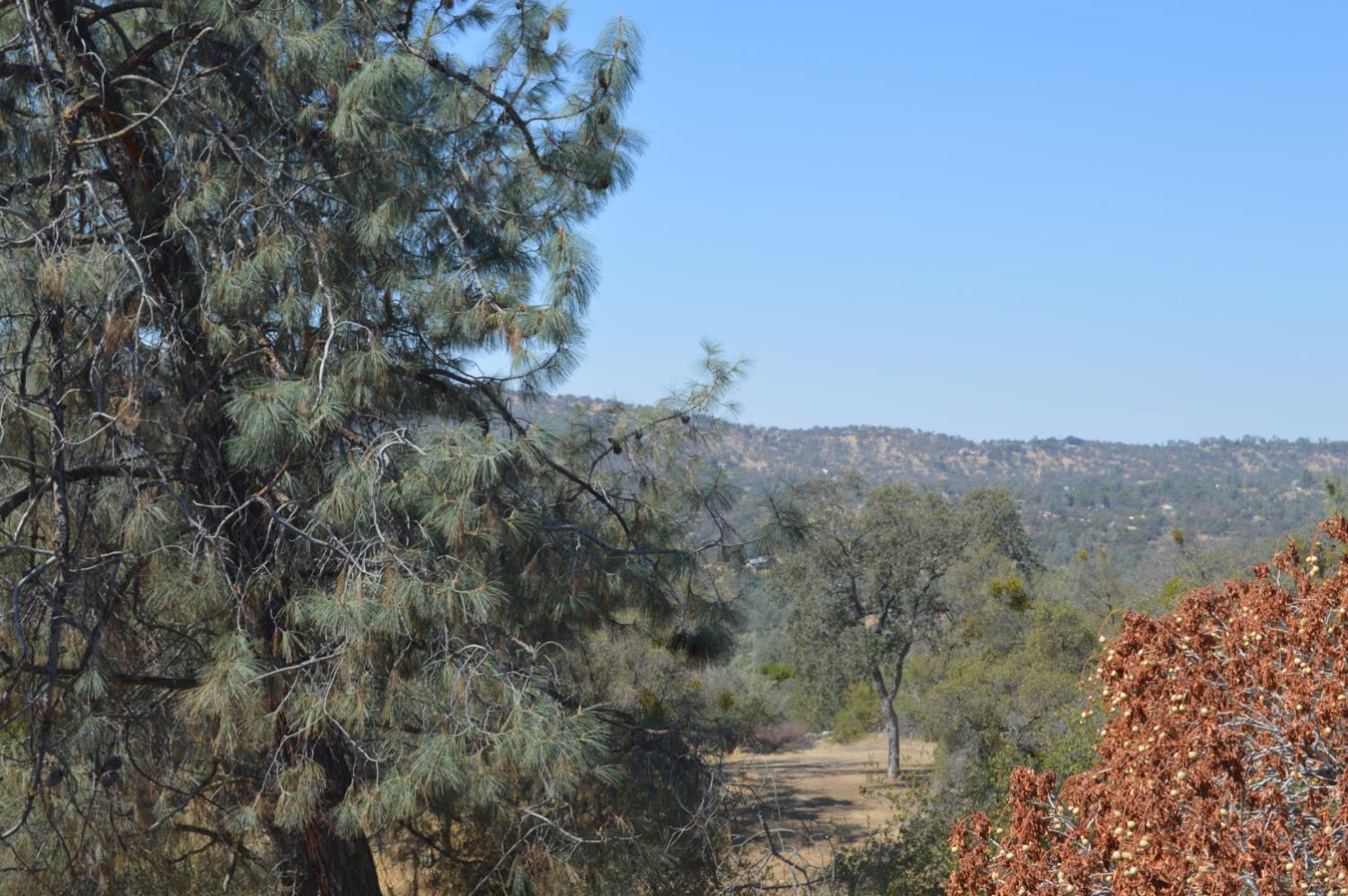 43531 Cedar Grove Way, Coarsegold, CA 93614