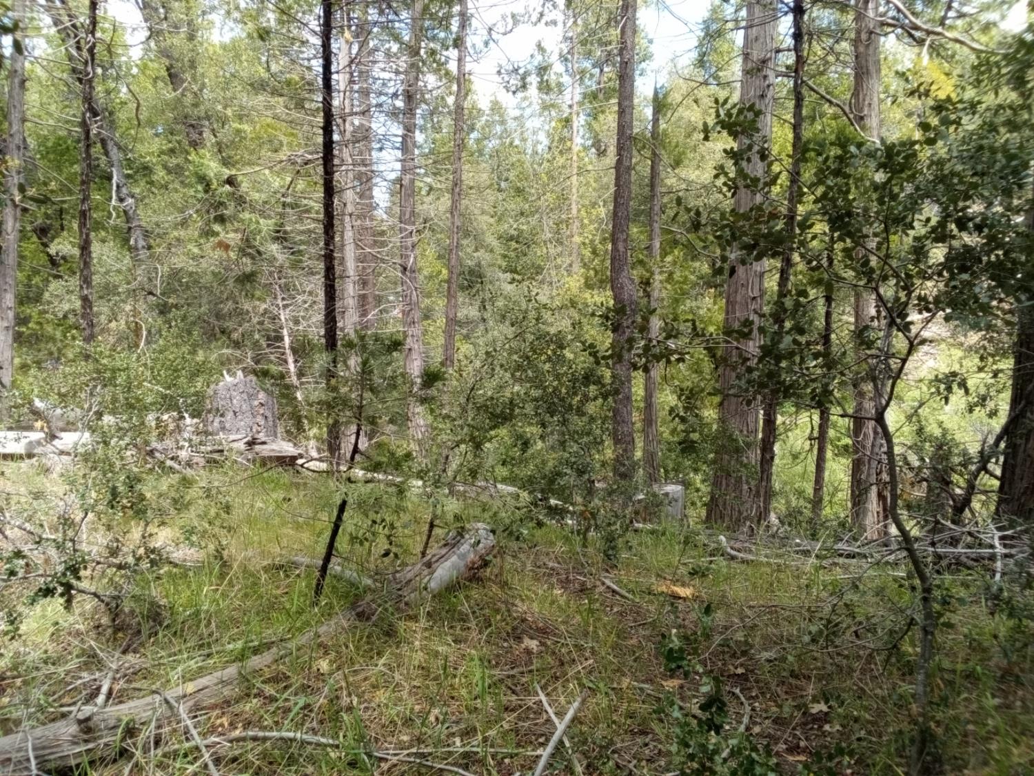 1 AUBERRY RD, Auberry, CA 93602