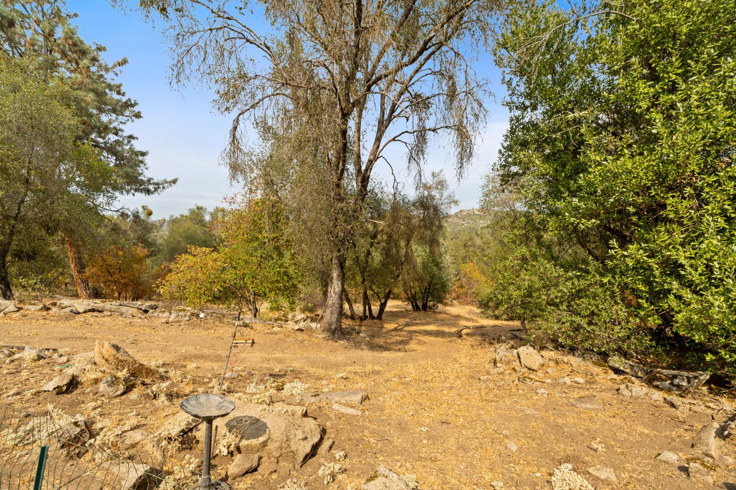 4853 Daffodil Dr, Mariposa, CA 95338