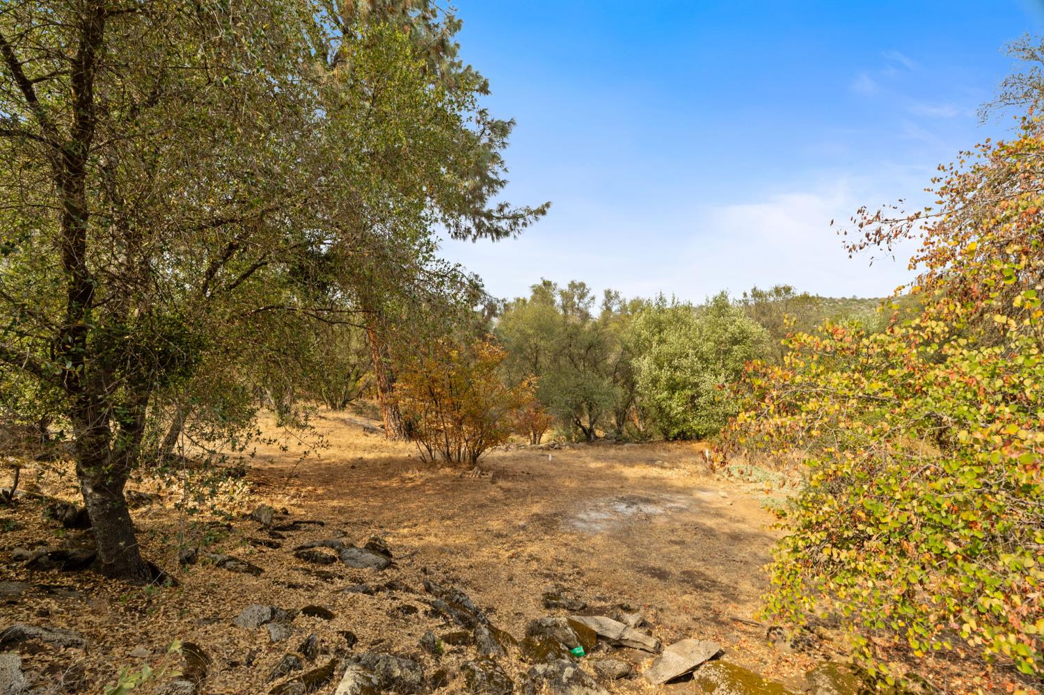 4853 Daffodil Dr, Mariposa, CA 95338