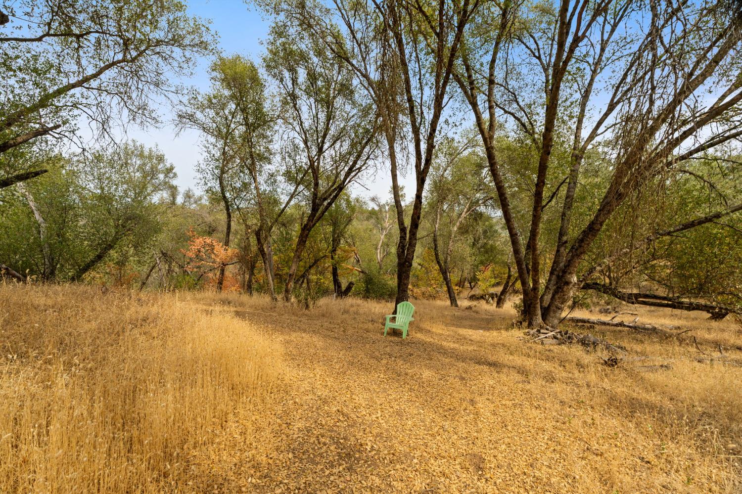 4853 Daffodil Dr, Mariposa, CA 95338