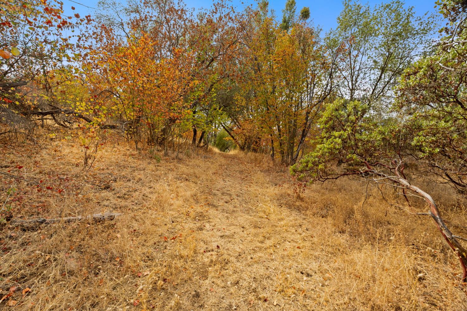 4853 Daffodil Dr, Mariposa, CA 95338
