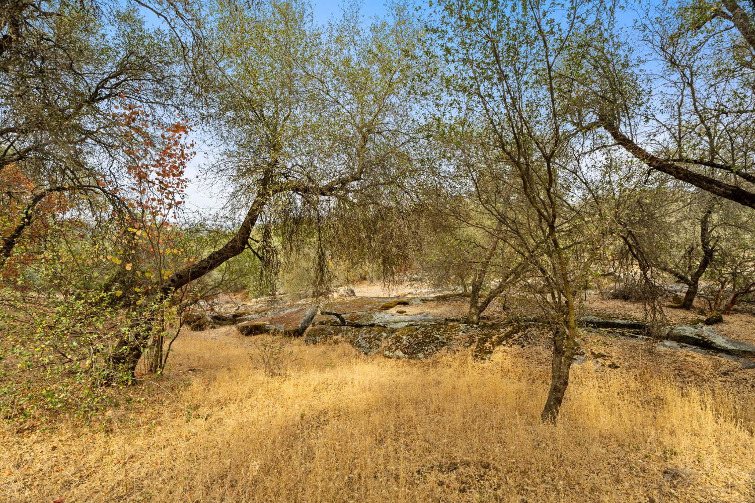 4853 Daffodil Dr, Mariposa, CA 95338