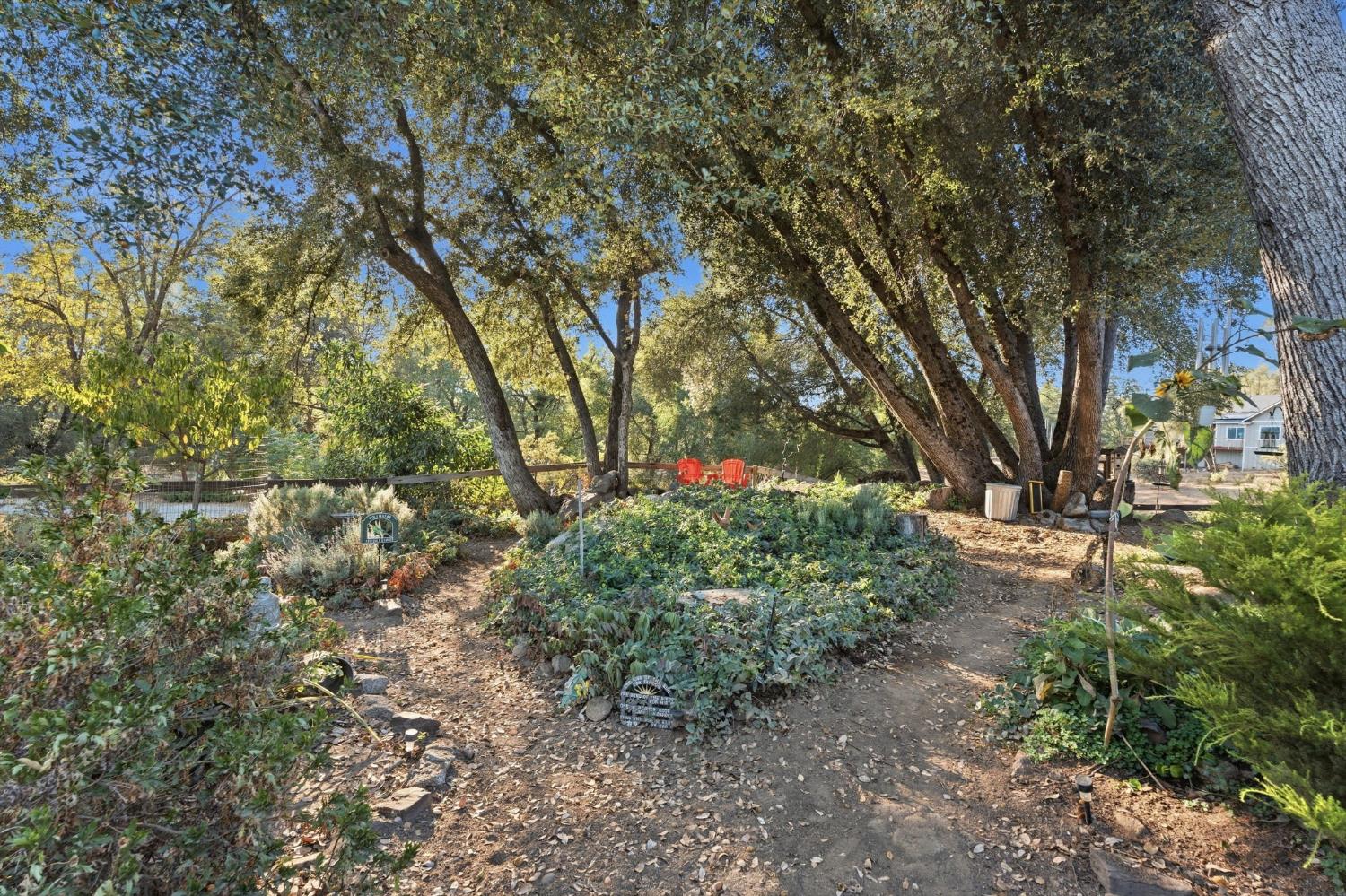 51145 Road 423, Oakhurst, CA 93644