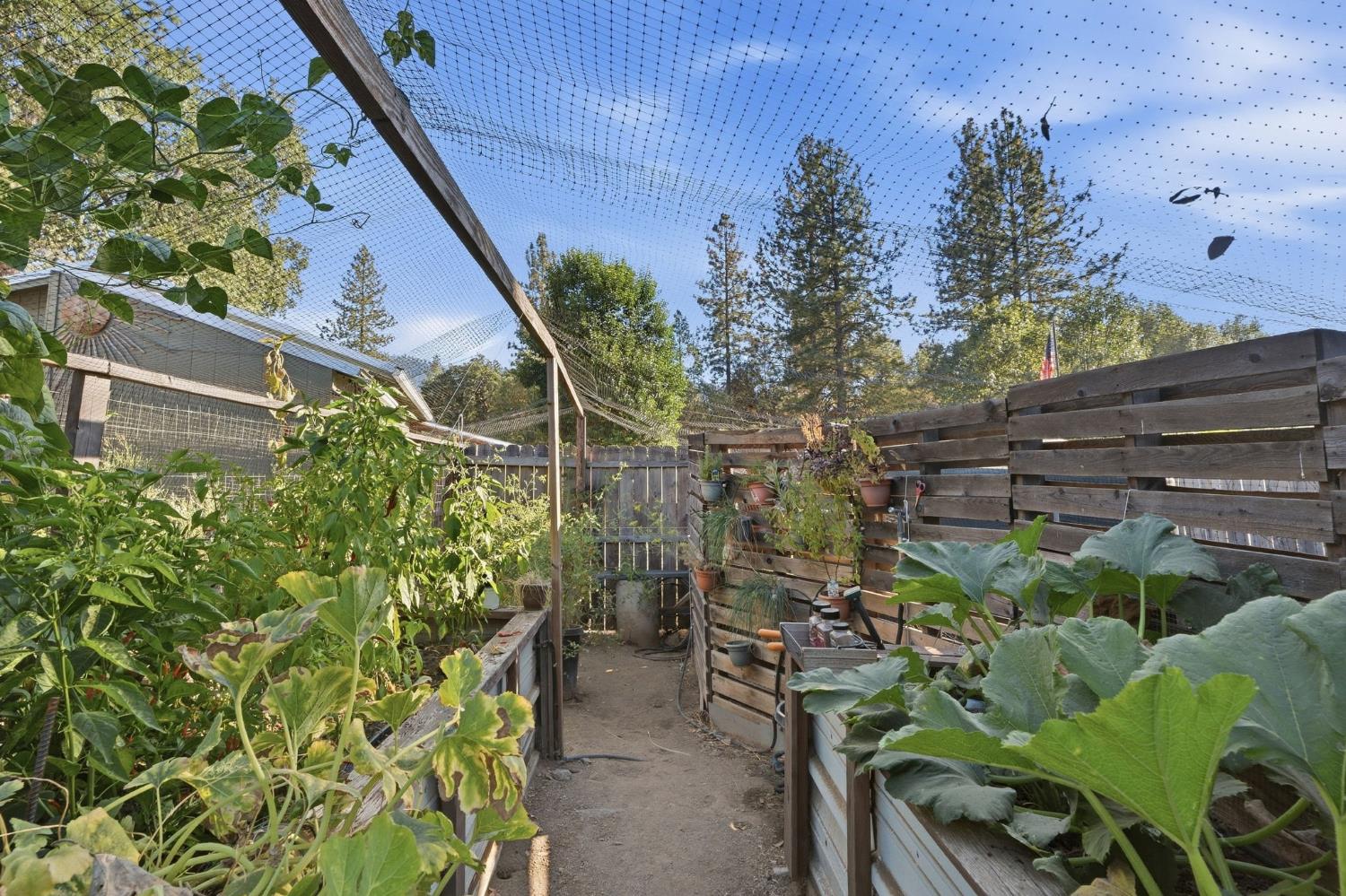 51145 Road 423, Oakhurst, CA 93644