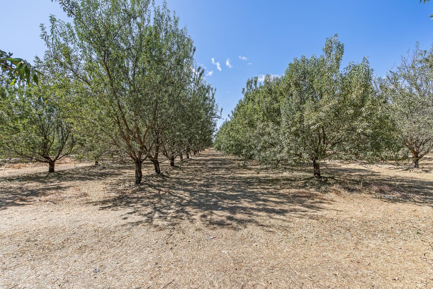 1 Road 136, Delano, CA 93215