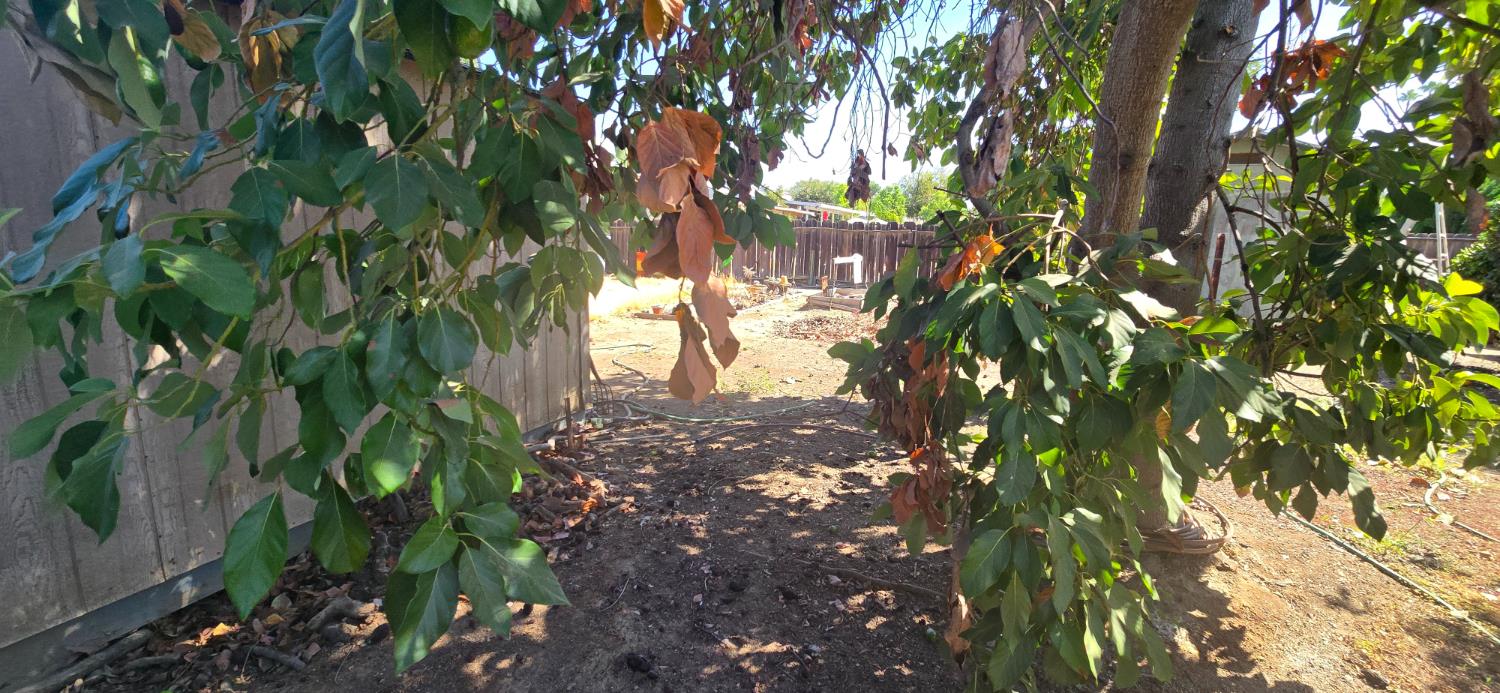 1312 E Michigan Ave, Fresno, CA 93704