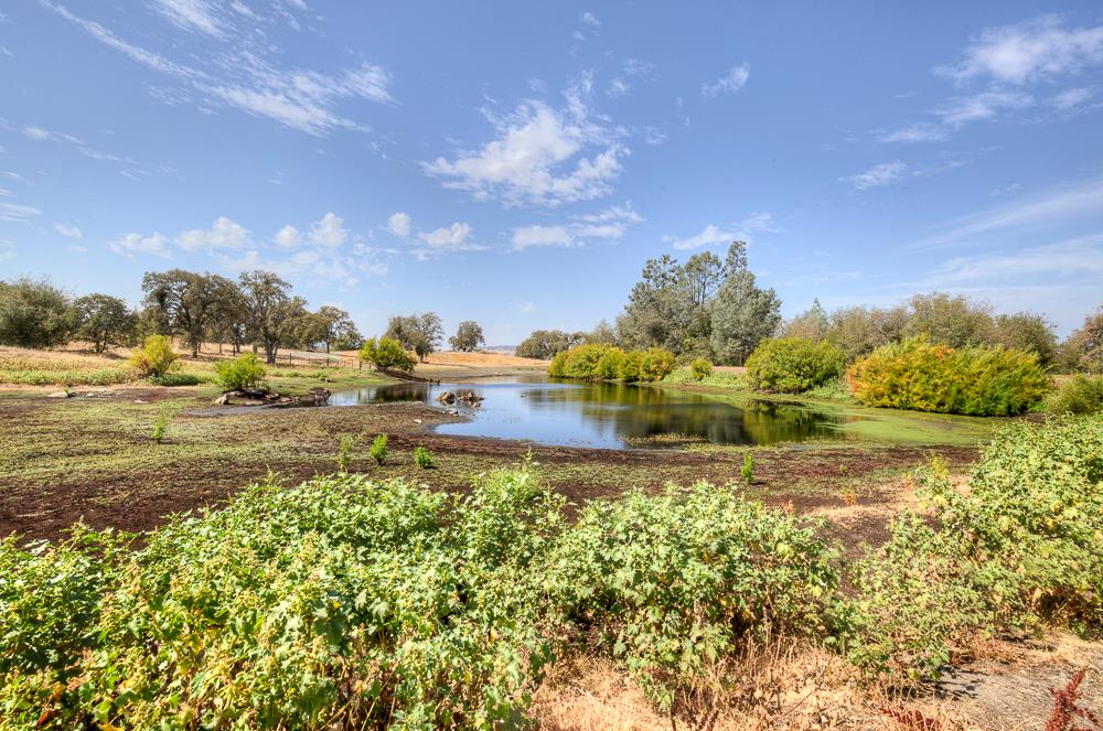 29836 Thunderbird Ln, Prather, CA 93651