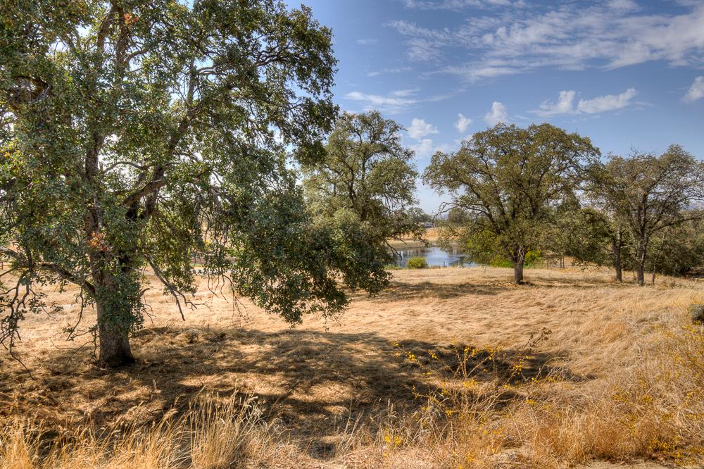 29836 Thunderbird Ln, Prather, CA 93651