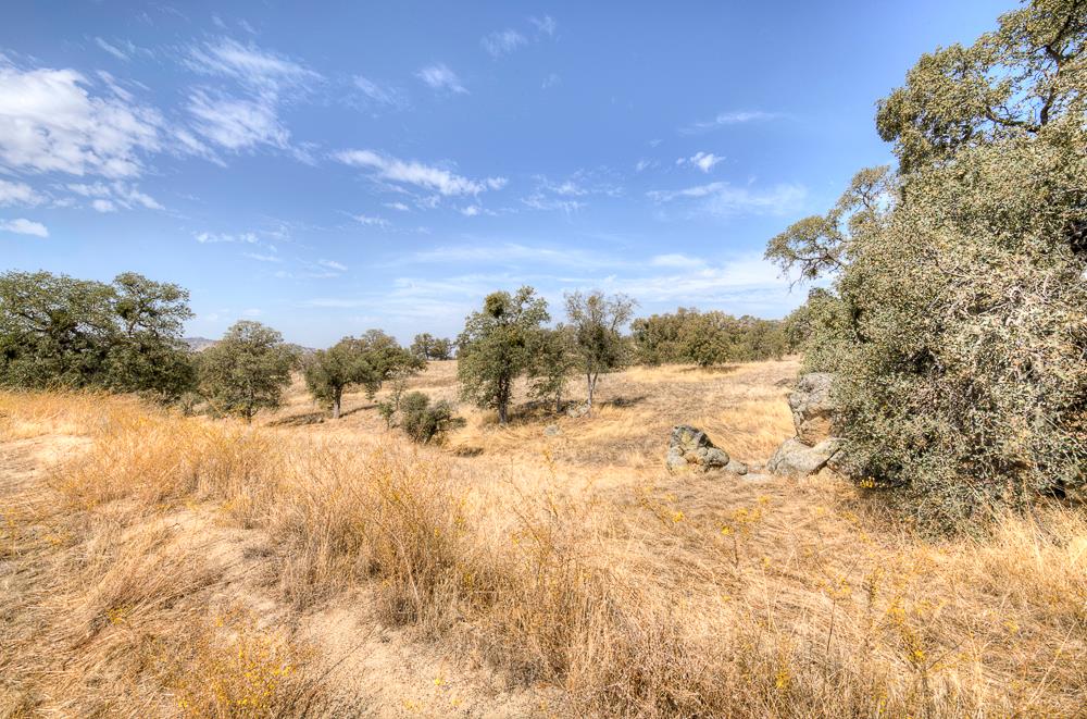 29836 Thunderbird Ln, Prather, CA 93651