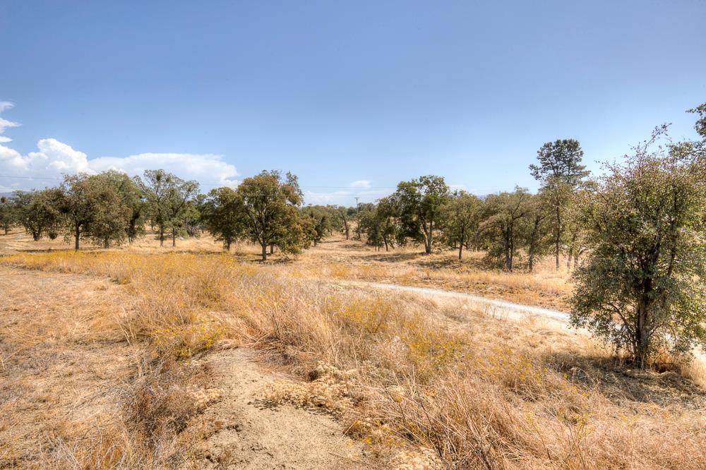 29836 Thunderbird Ln, Prather, CA 93651