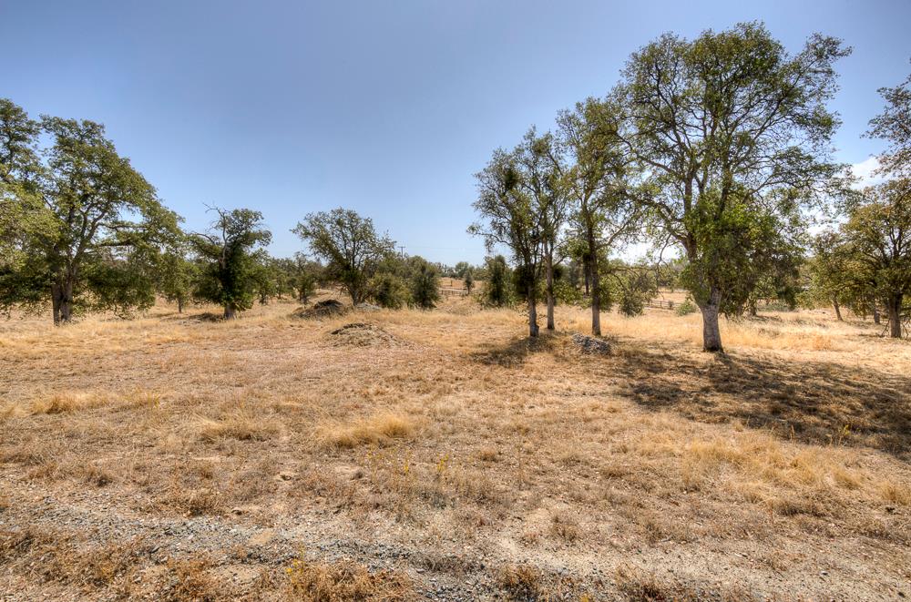 29836 Thunderbird Ln, Prather, CA 93651