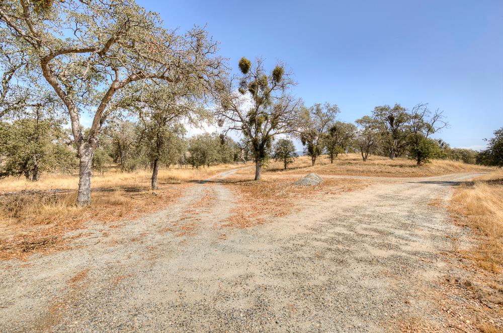 29836 Thunderbird Ln, Prather, CA 93651