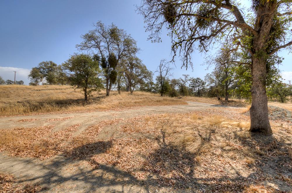 29836 Thunderbird Ln, Prather, CA 93651