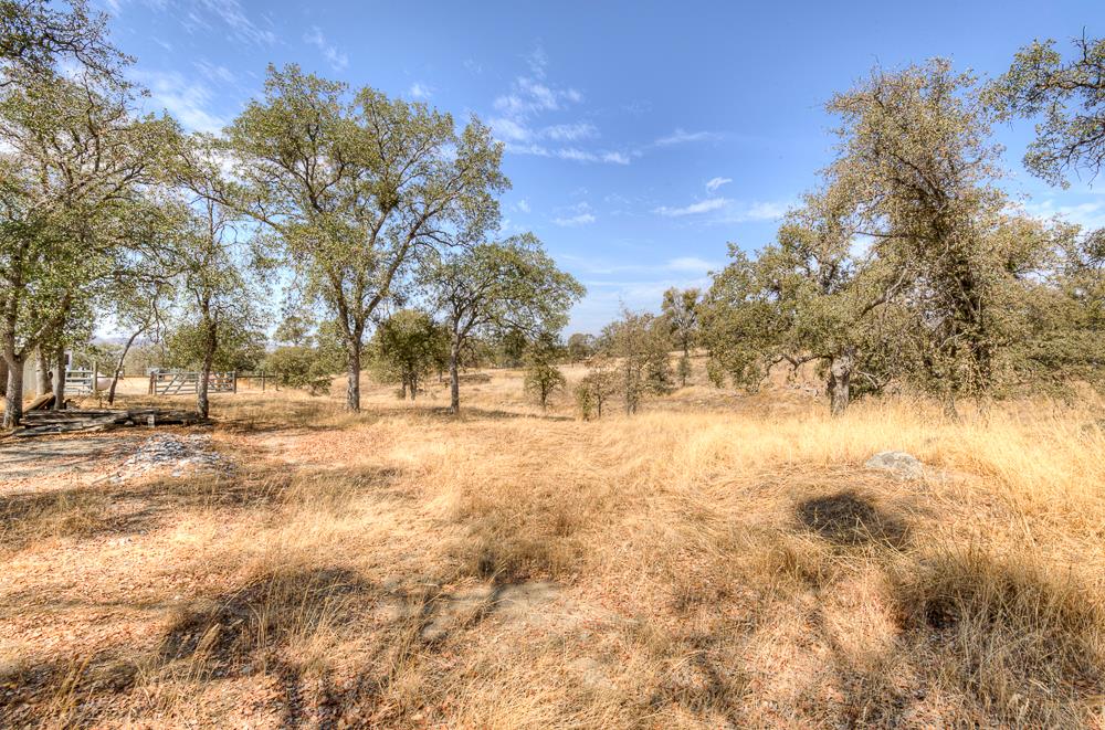29836 Thunderbird Ln, Prather, CA 93651