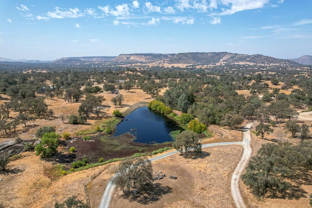 29836 Thunderbird Ln, Prather, CA 93651