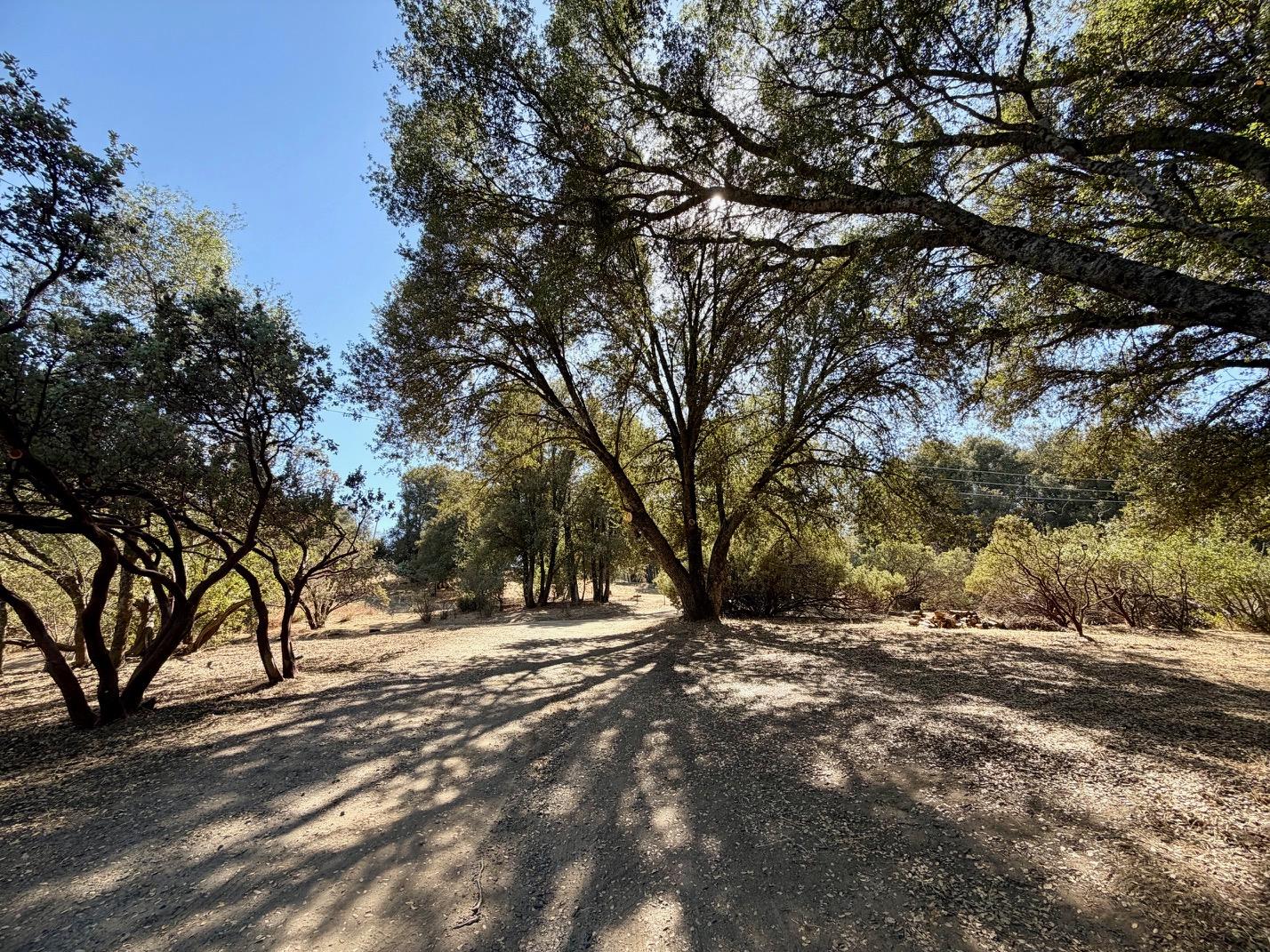 50231 Spook Ln, Oakhurst, CA 93644