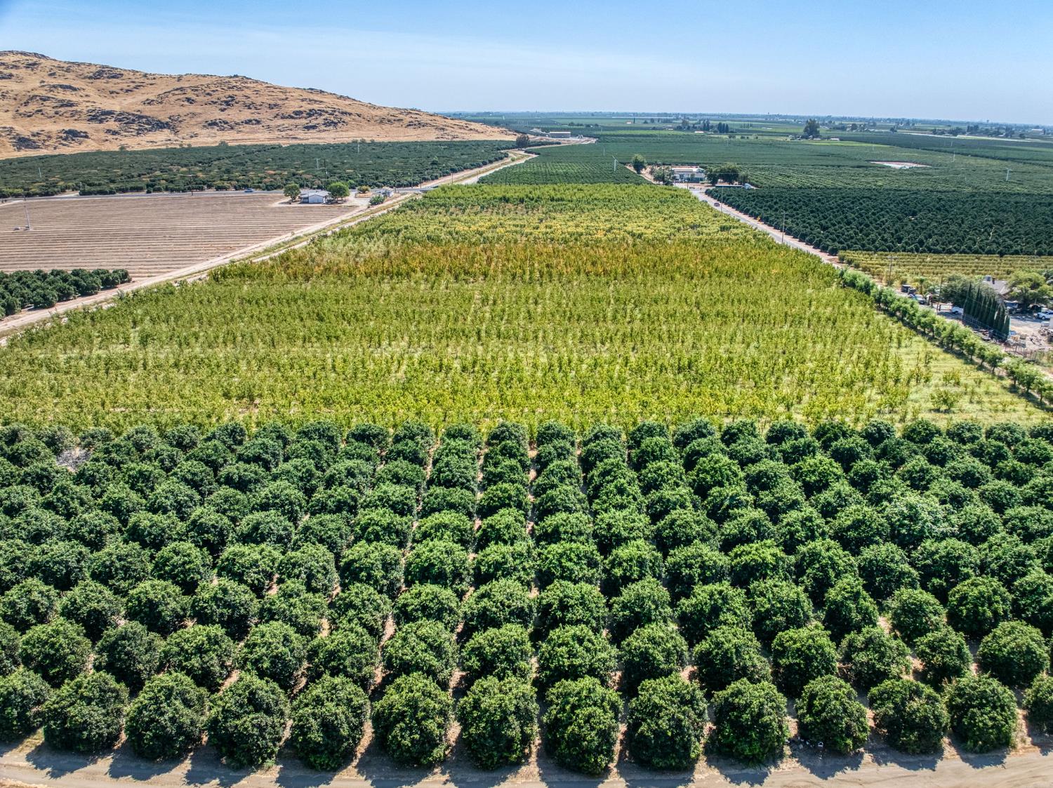 1 TBD, Reedley, CA 93654