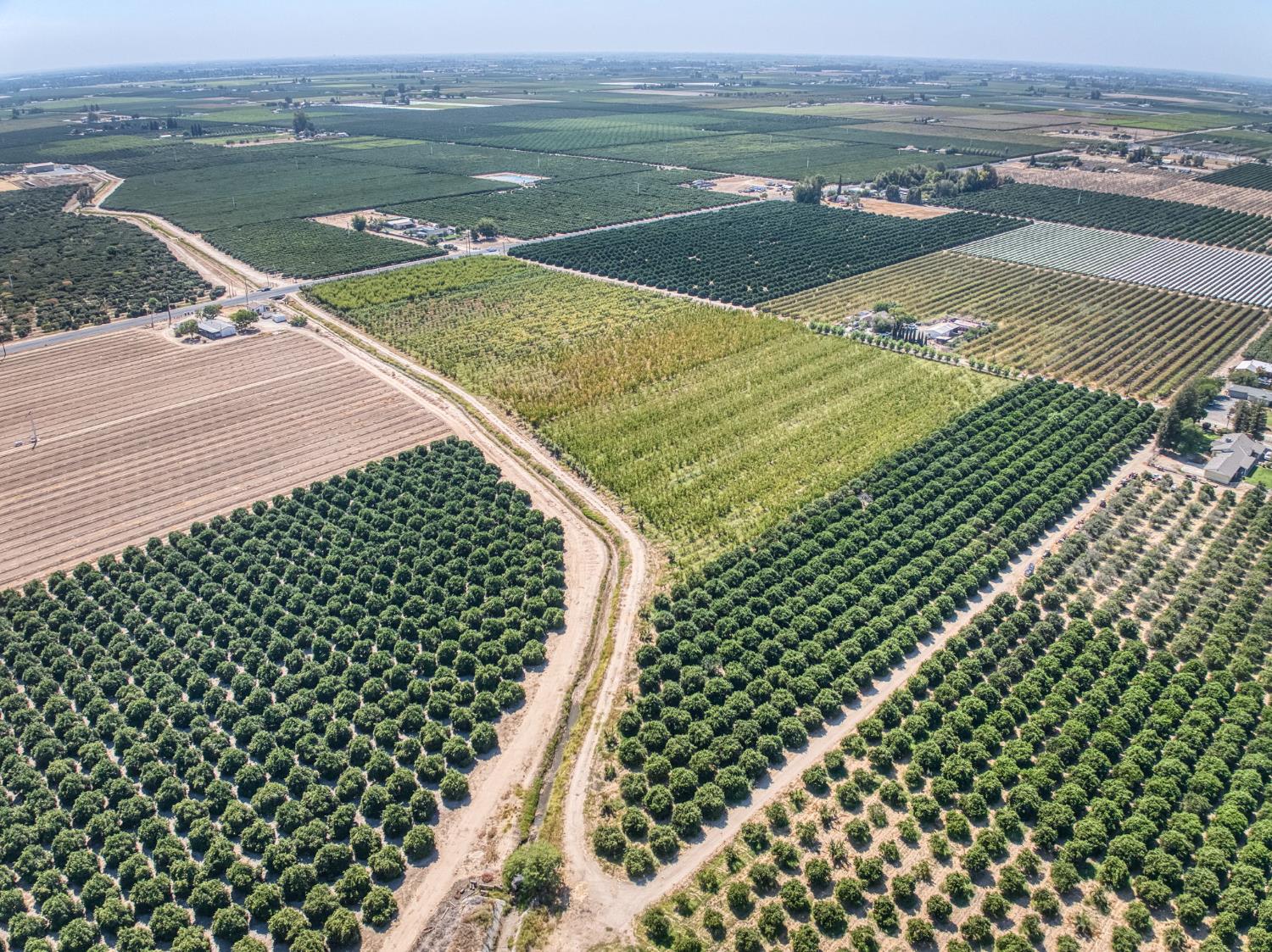 1 TBD, Reedley, CA 93654
