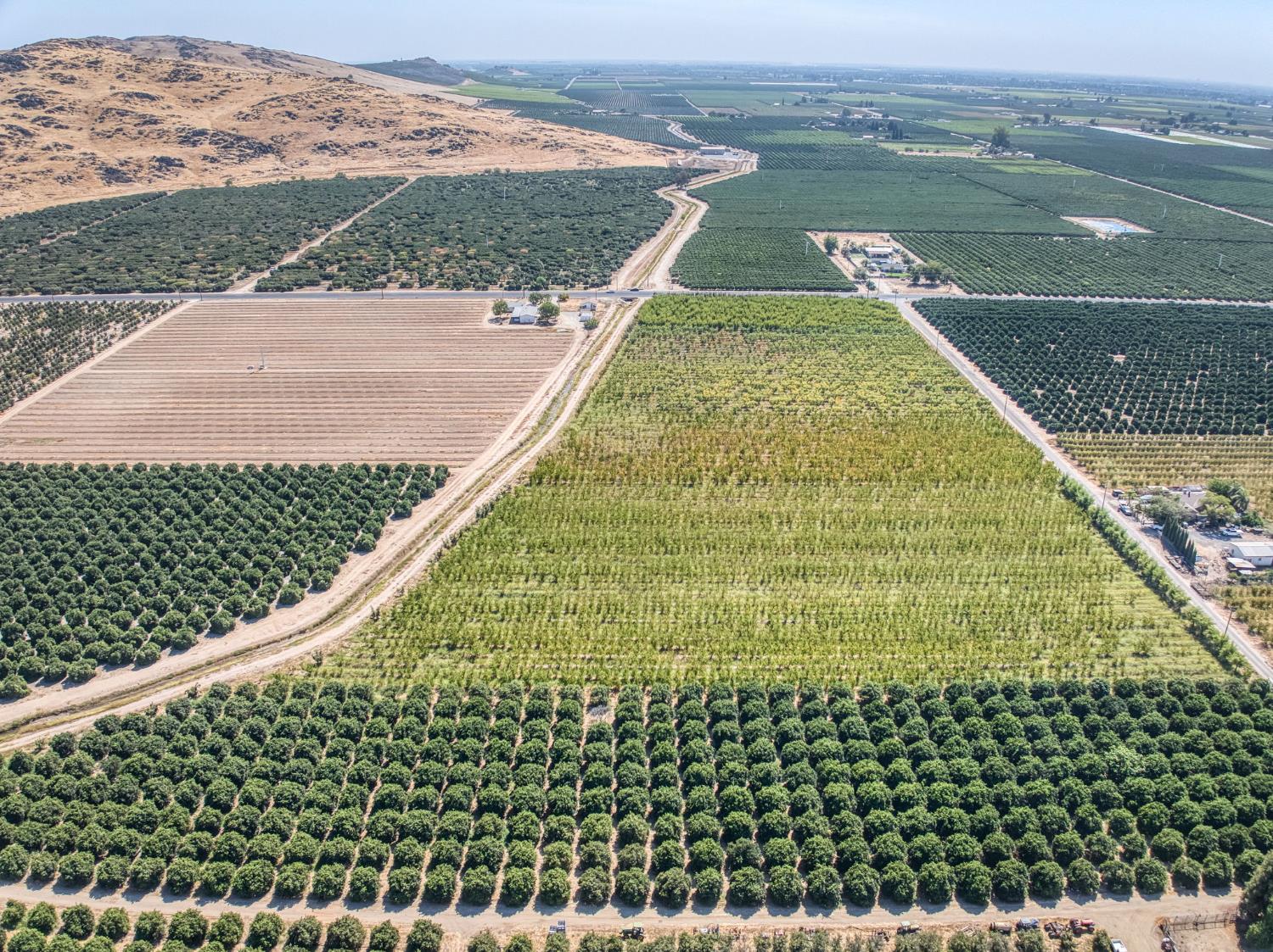 1 TBD, Reedley, CA 93654
