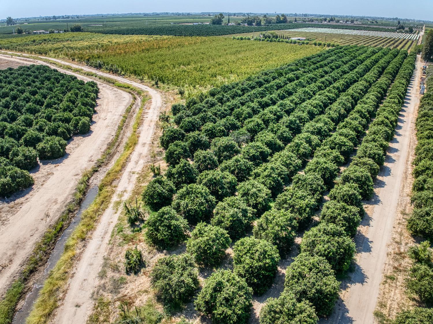 1 TBD, Reedley, CA 93654