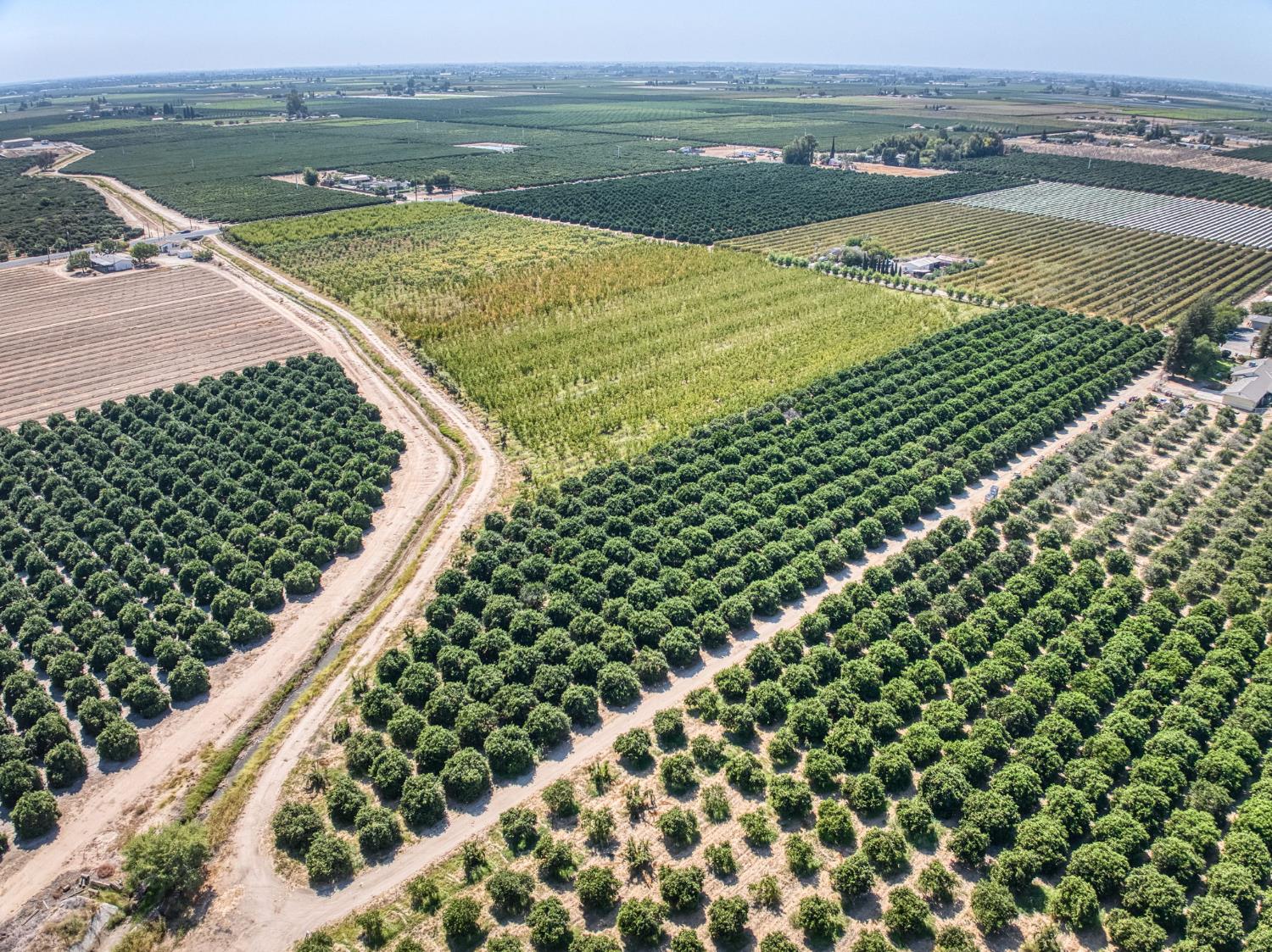 1 TBD, Reedley, CA 93654