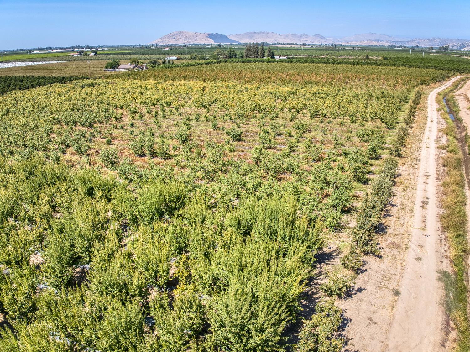 1 TBD, Reedley, CA 93654
