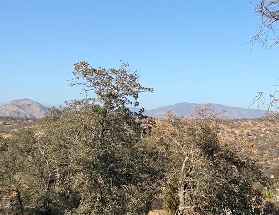 0 0 Wolverine Ln, Yokuts Valley, CA 93675