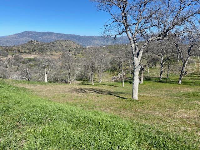 0 0 Cardinal, Yokuts Valley, CA 93675