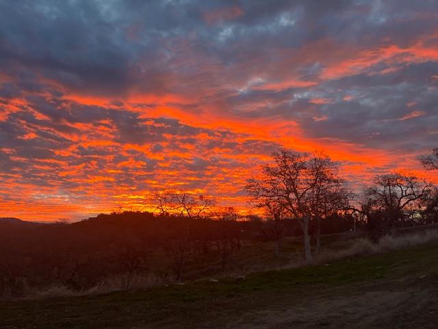 0 0 Cardinal, Yokuts Valley, CA 93675