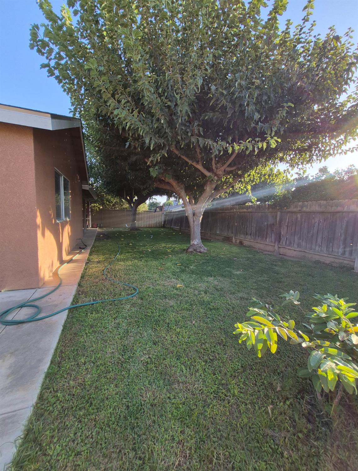 1309 N Fisher Ave, Reedley, CA 93654