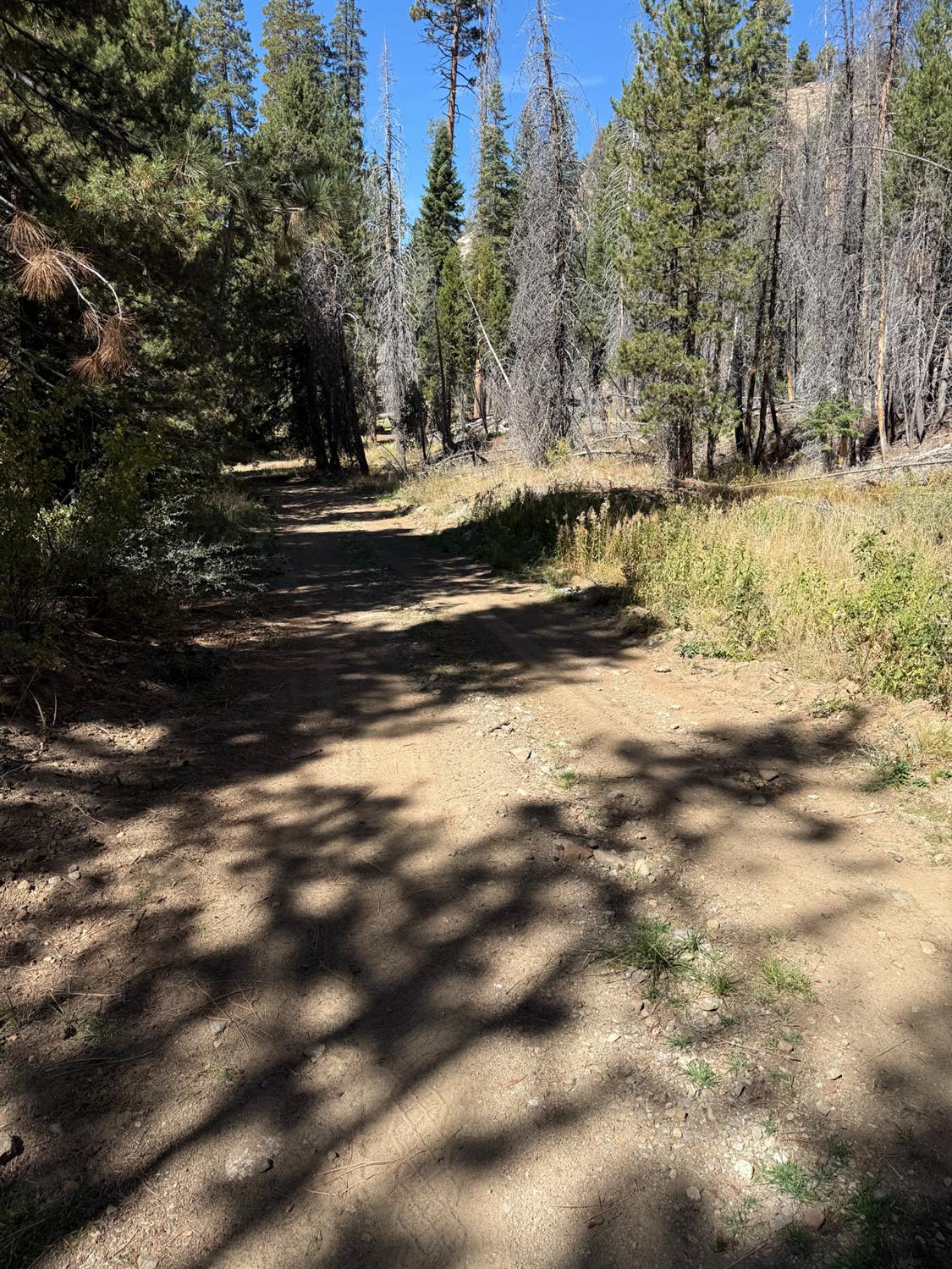 11 Strawberry, North Fork, CA 93643