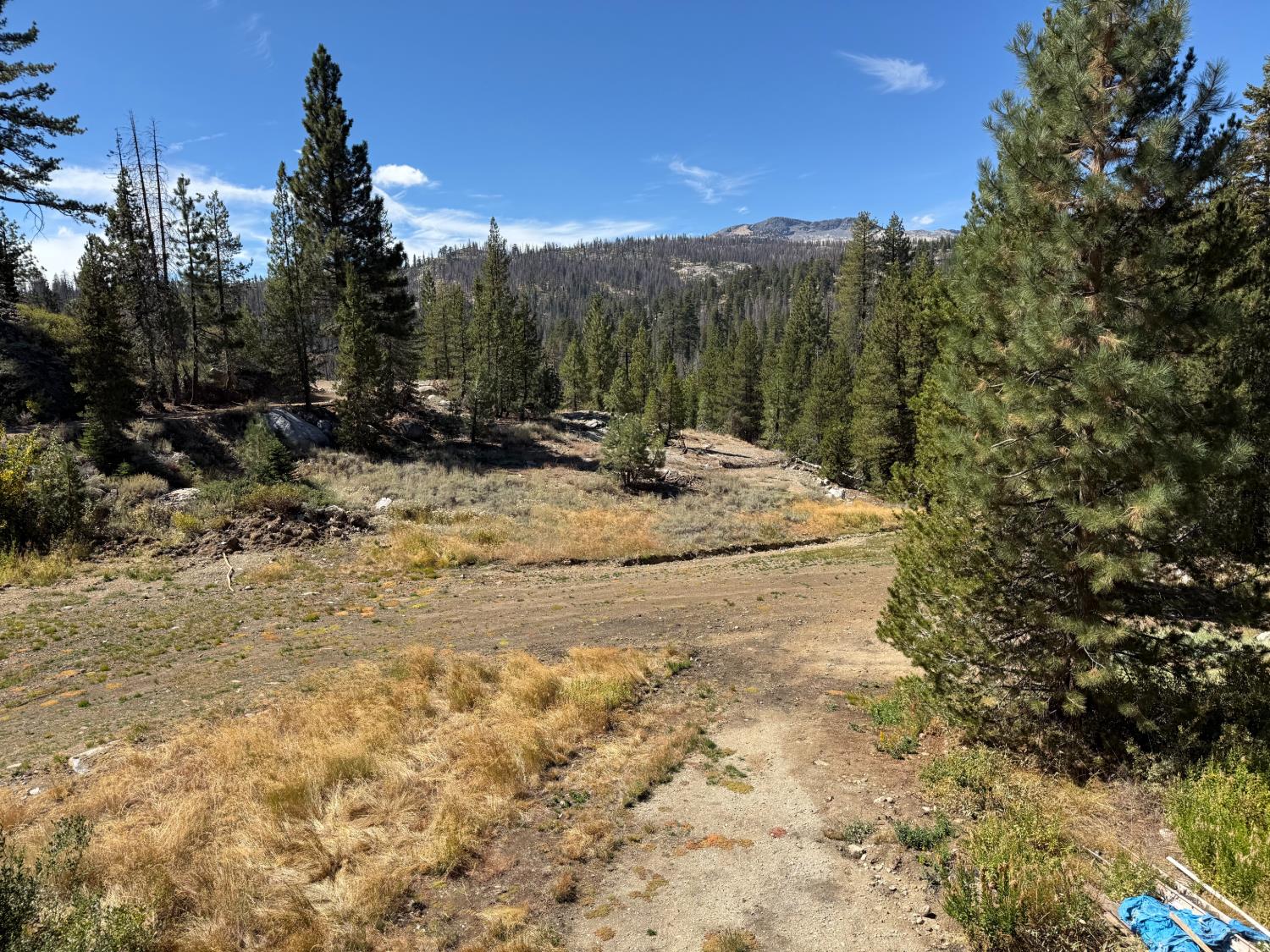 11 Strawberry, North Fork, CA 93643