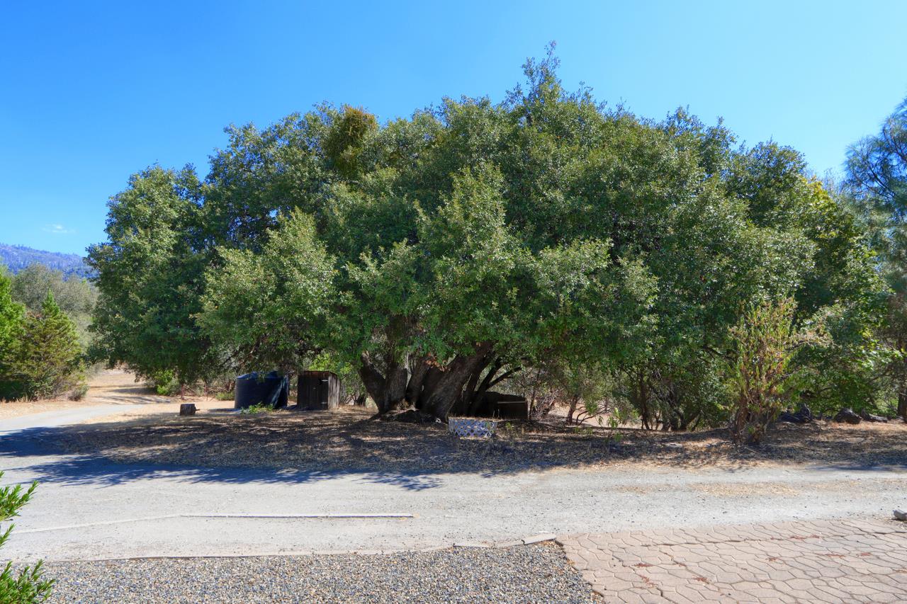 33030 Road 233, North Fork, CA 93643
