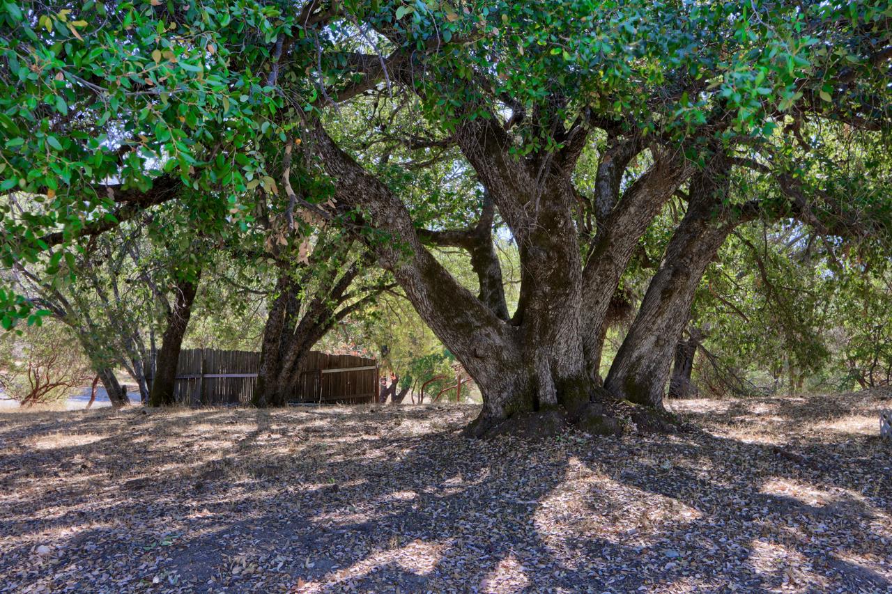 33030 Road 233, North Fork, CA 93643
