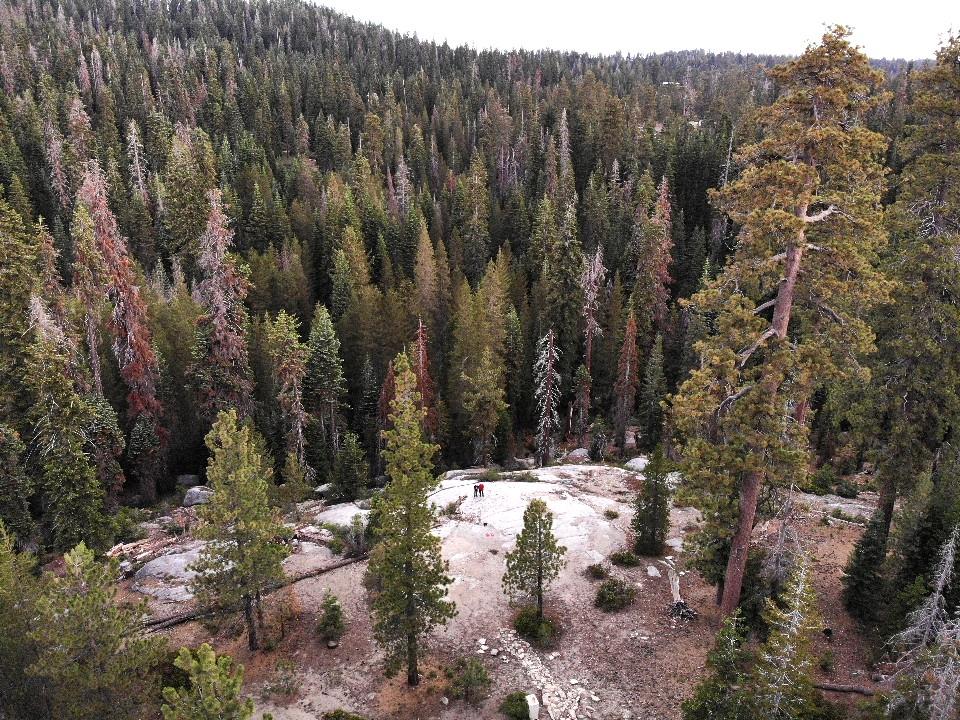 64949 Generals Highway, Sequoia National Prk, CA 93633