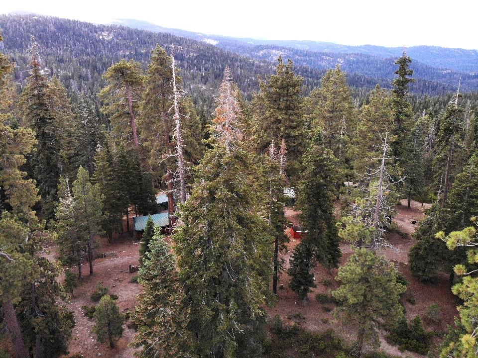 64949 Generals Highway, Sequoia National Prk, CA 93633