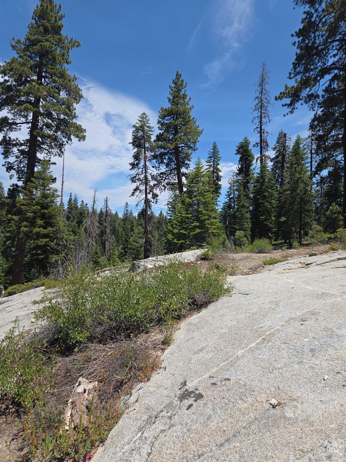 64949 Generals Highway, Sequoia National Prk, CA 93633