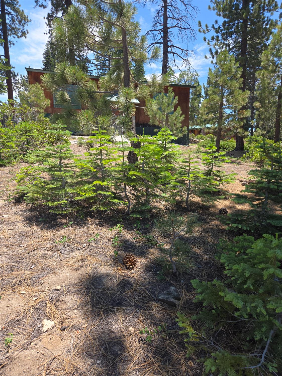 64949 Generals Highway, Sequoia National Prk, CA 93633