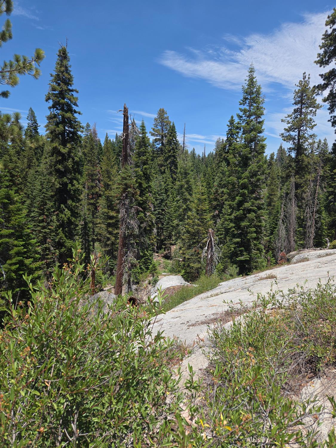 64949 Generals Highway, Sequoia National Prk, CA 93633