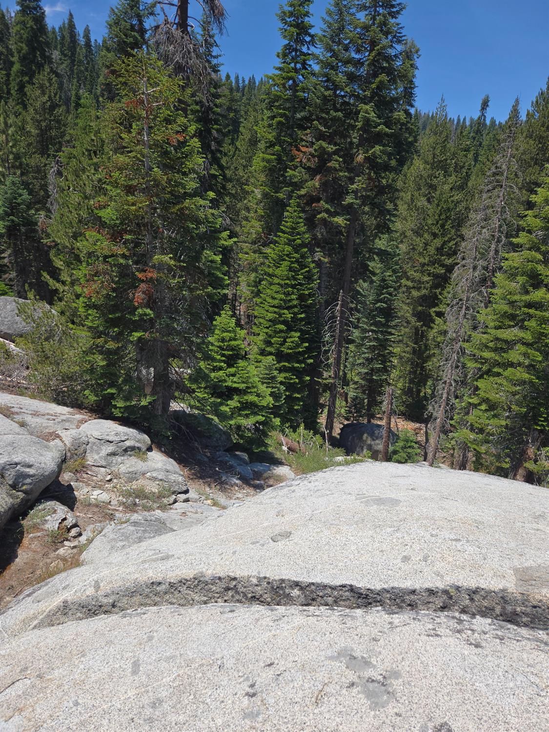 64949 Generals Highway, Sequoia National Prk, CA 93633