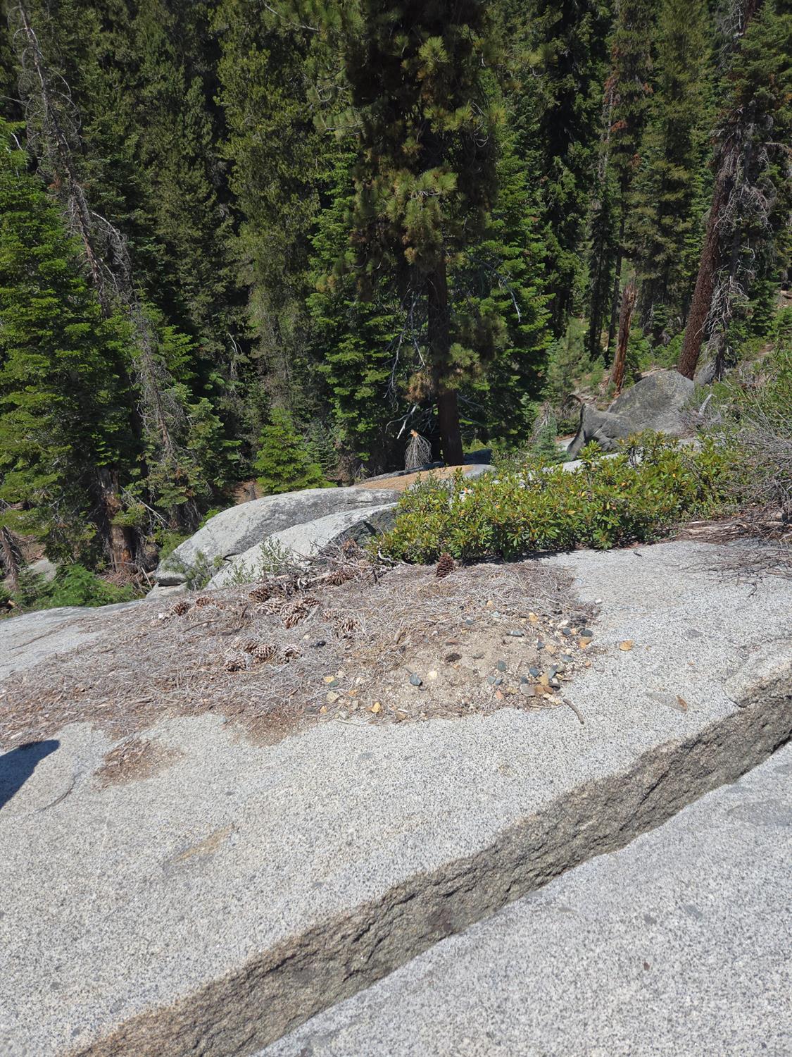 64949 Generals Highway, Sequoia National Prk, CA 93633