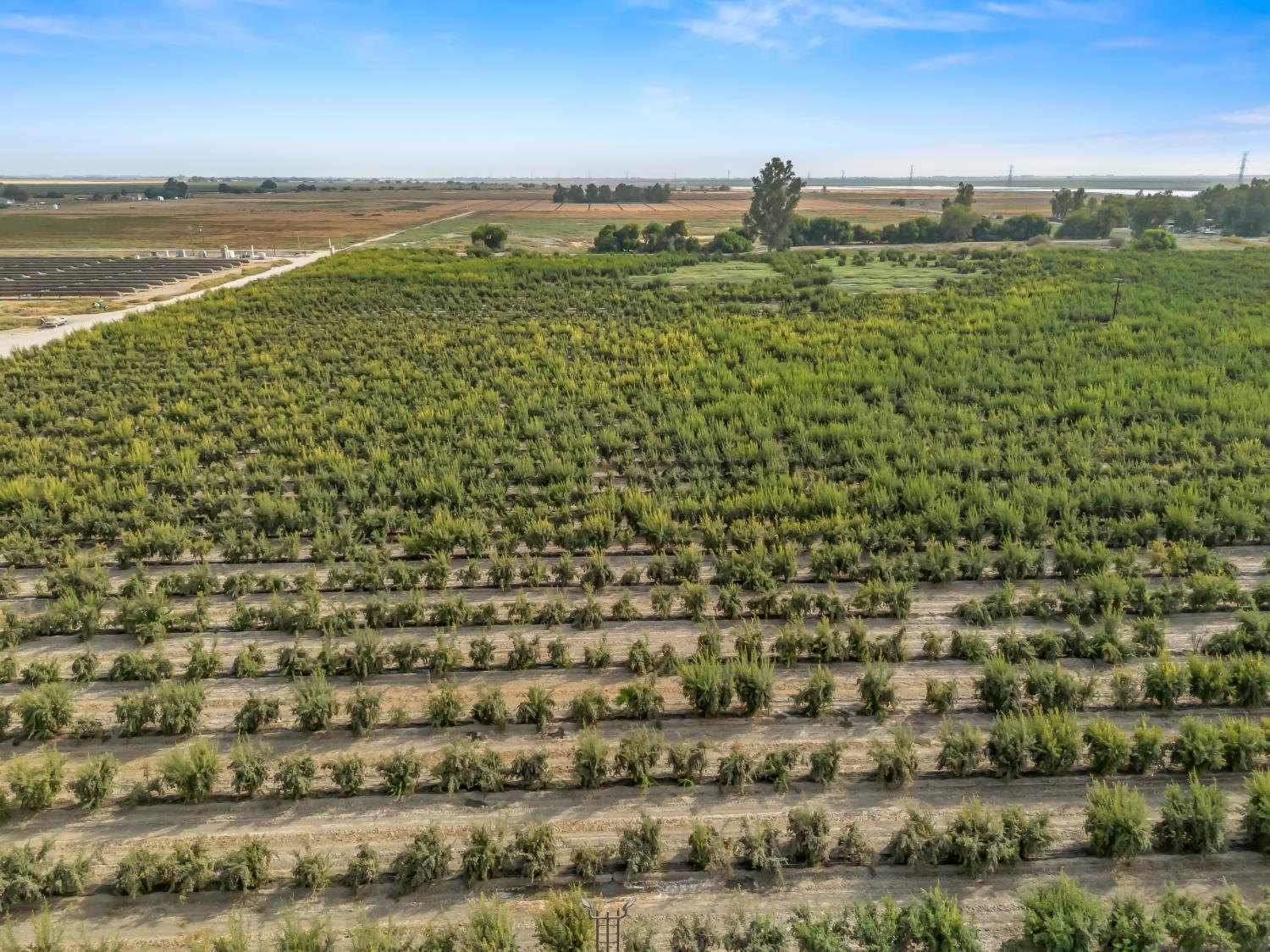 9235 24th Ave, Lemoore, CA 93245