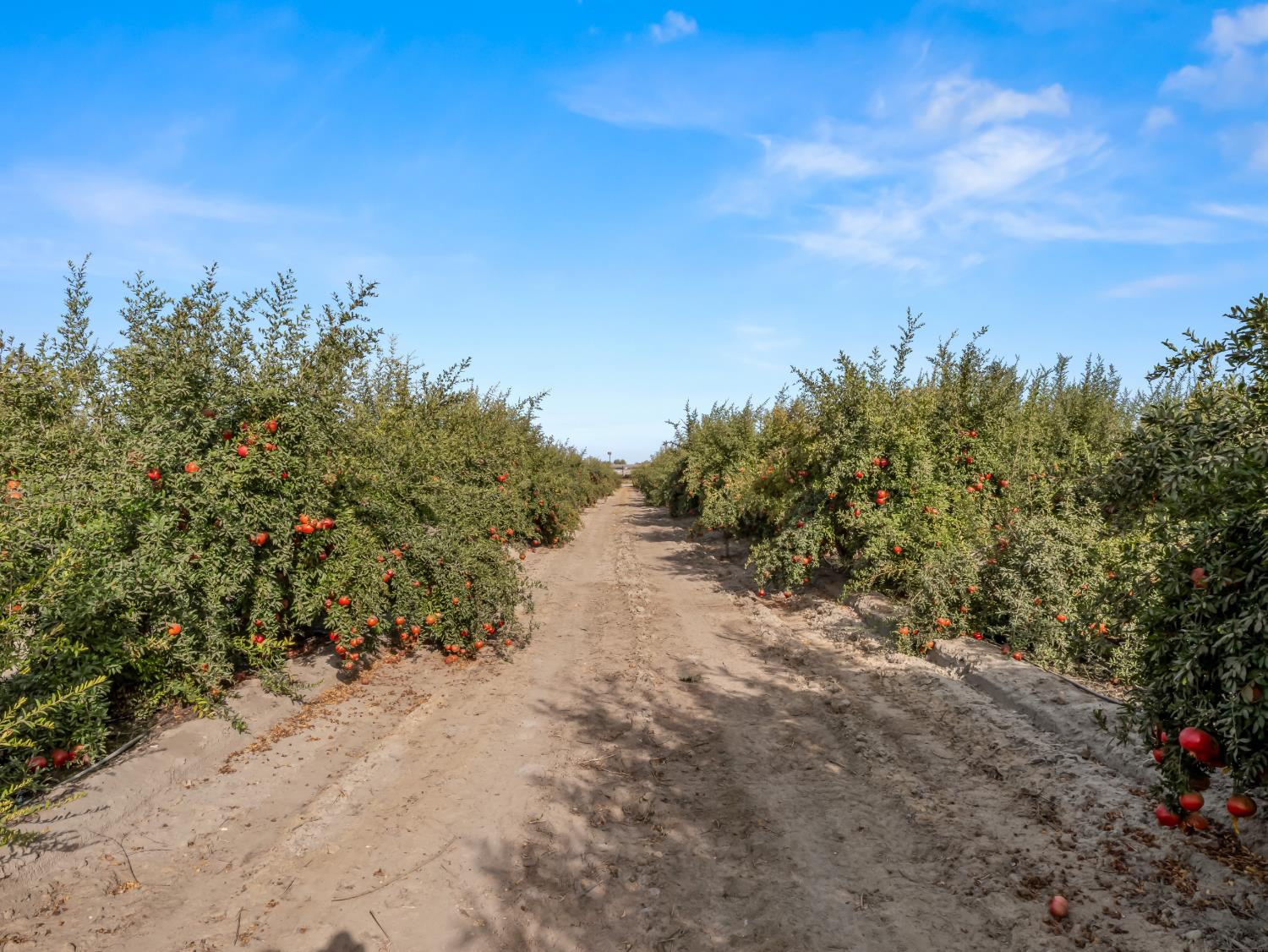 9235 24th Ave, Lemoore, CA 93245