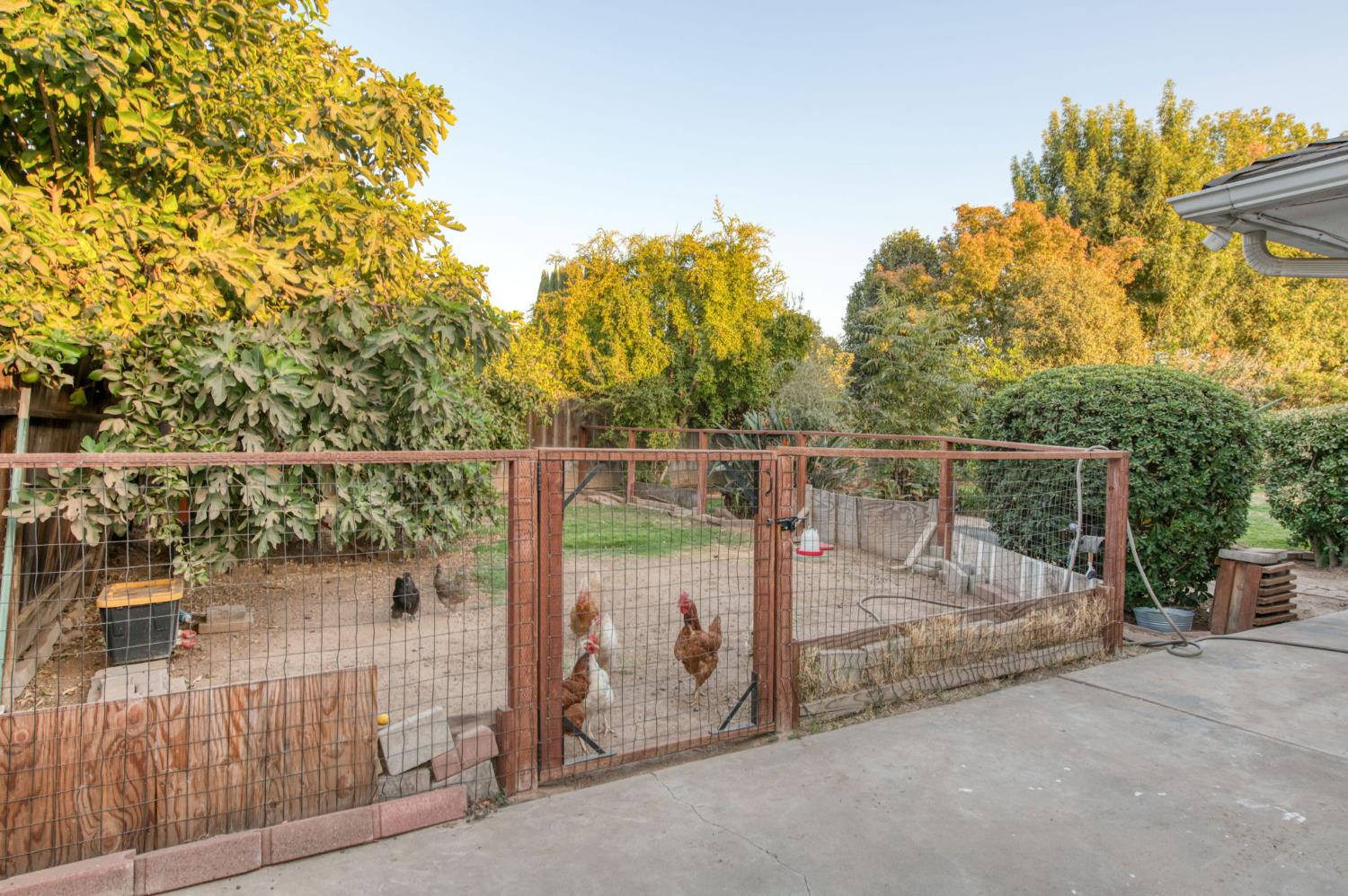 6736 N Thorne Ave, Fresno, CA 93711