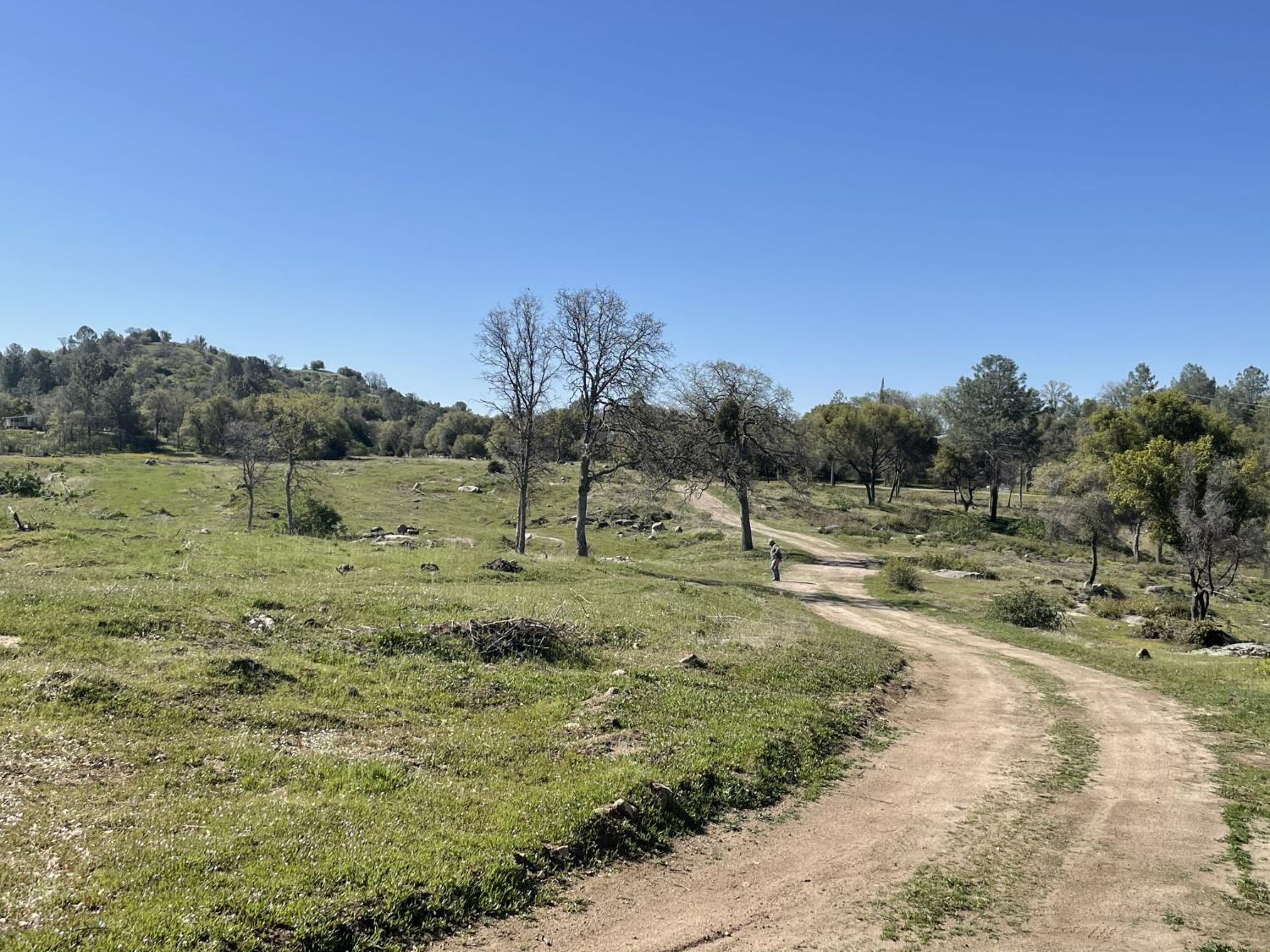 35085 Auberry (Comstock) Rd, Auberry, CA 93602