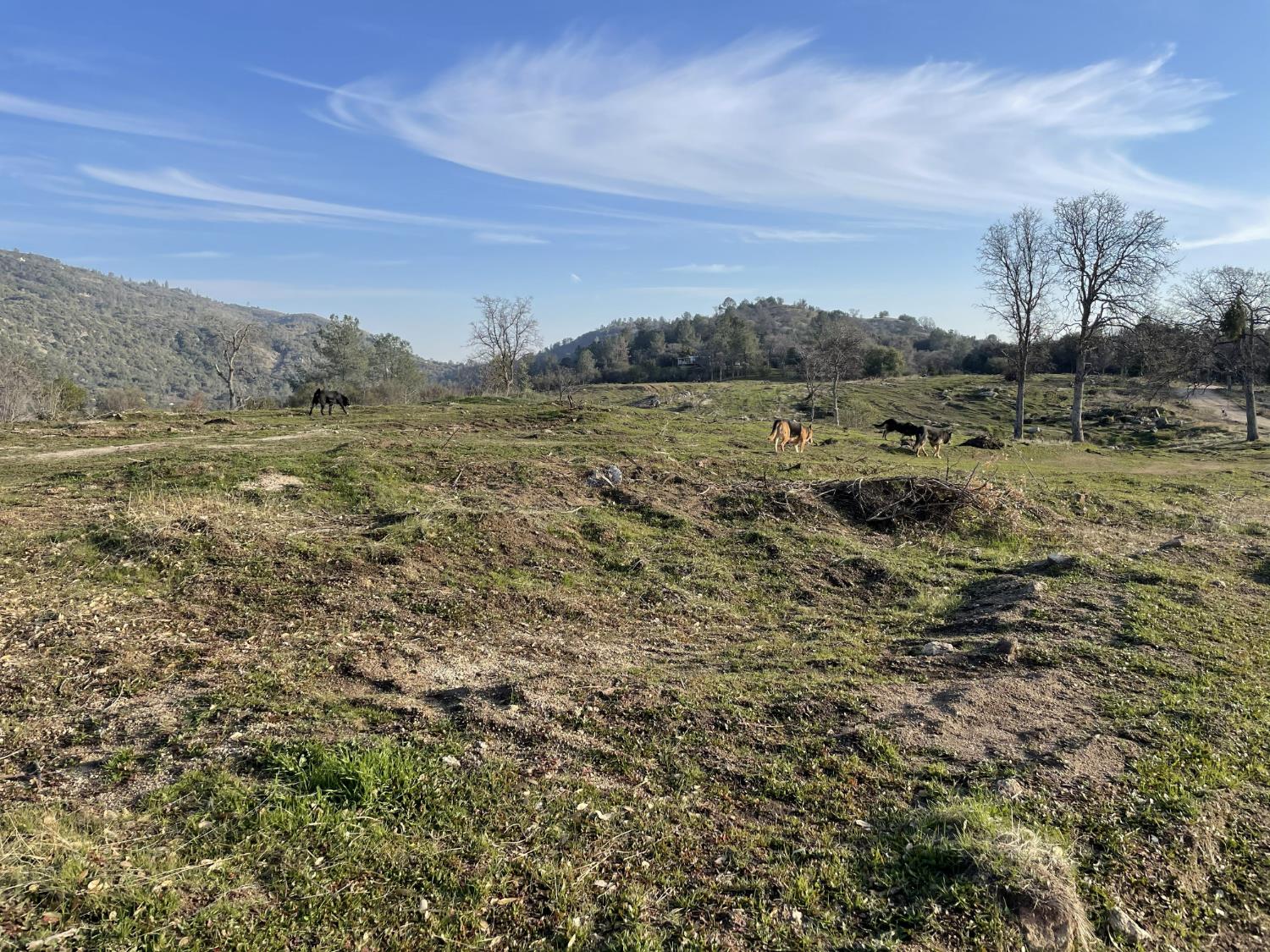 35085 Auberry (Comstock) Rd, Auberry, CA 93602