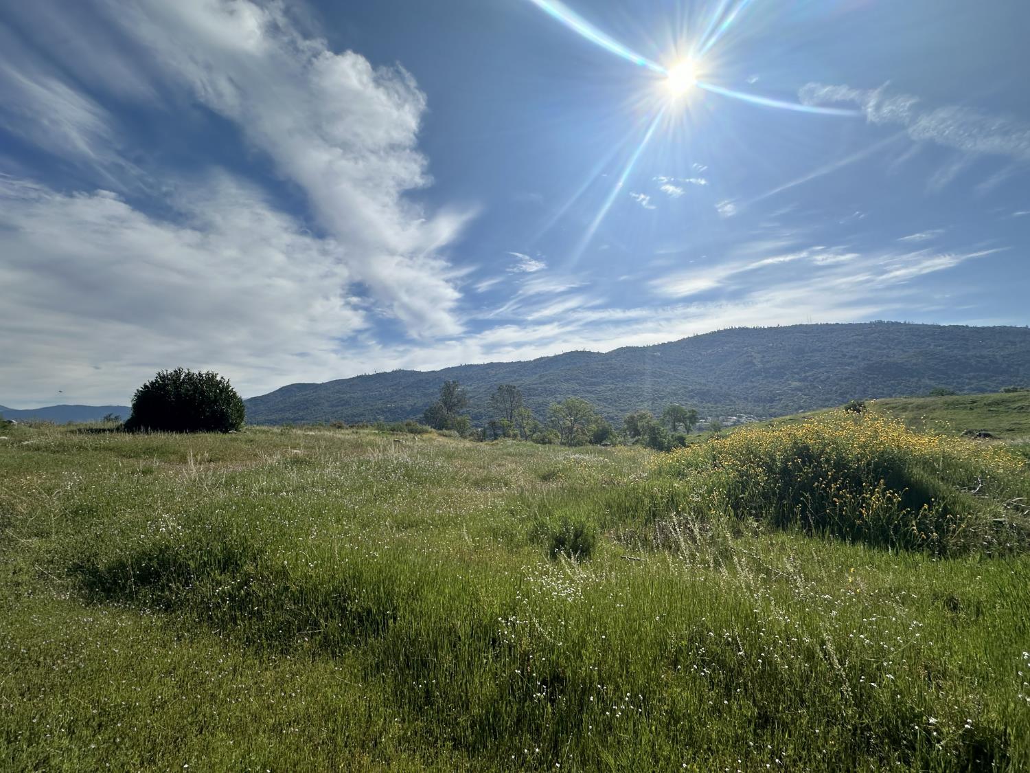 35085 Auberry (Comstock) Rd, Auberry, CA 93602