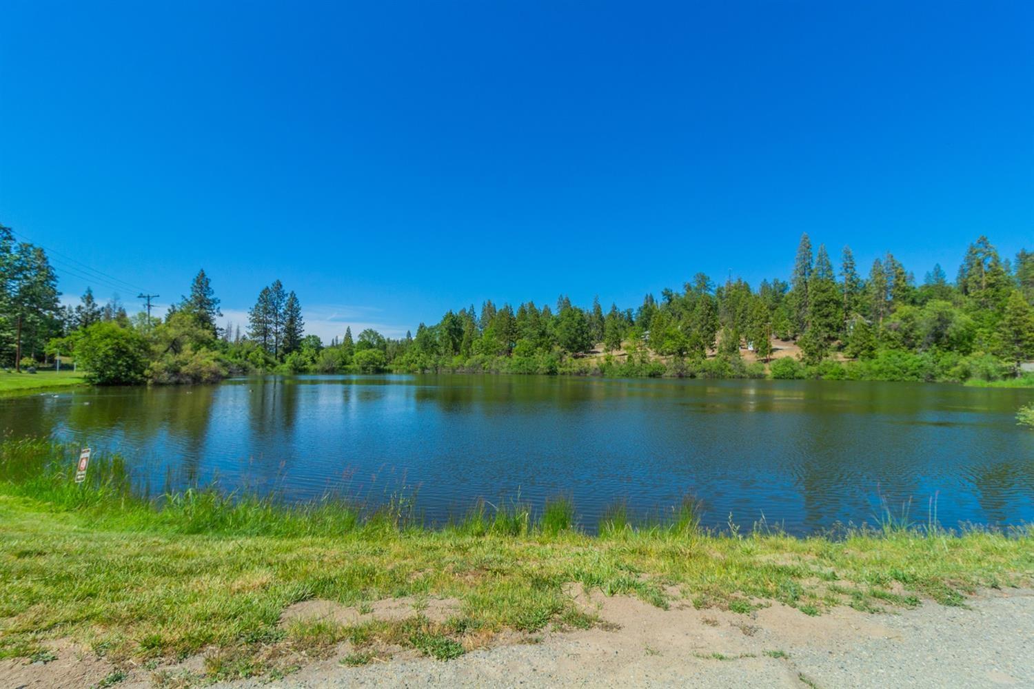 41635 Alva Snow Ln, Auberry, CA 93602
